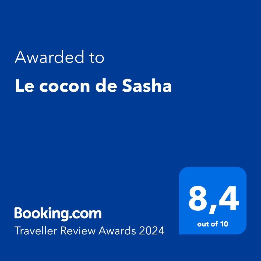 Le Cocon De Sasha - Hyper Centre - Full Climatisation - Proche Gare - 1 Chambre - Canape Convertible - Gere Par Presta-Zen'Services ヴェルダン・シュル・ムーズ エクステリア 写真